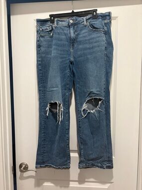 torrid Medium Blue Distressed Flare Jeans